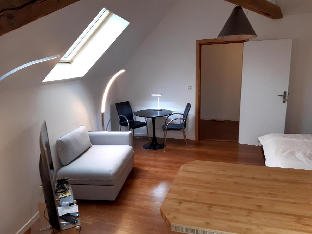loft studio avec charme et authenticité Altkirch Esterno foto