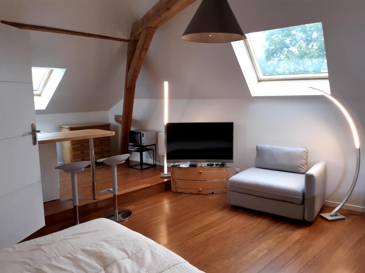 loft studio avec charme et authenticité Altkirch Esterno foto