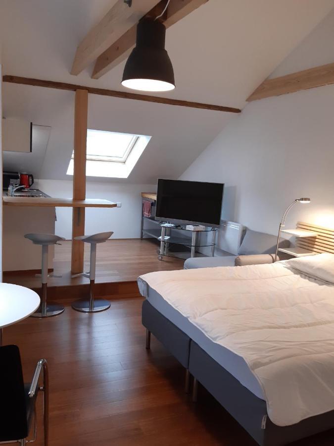 loft studio avec charme et authenticité Altkirch Esterno foto