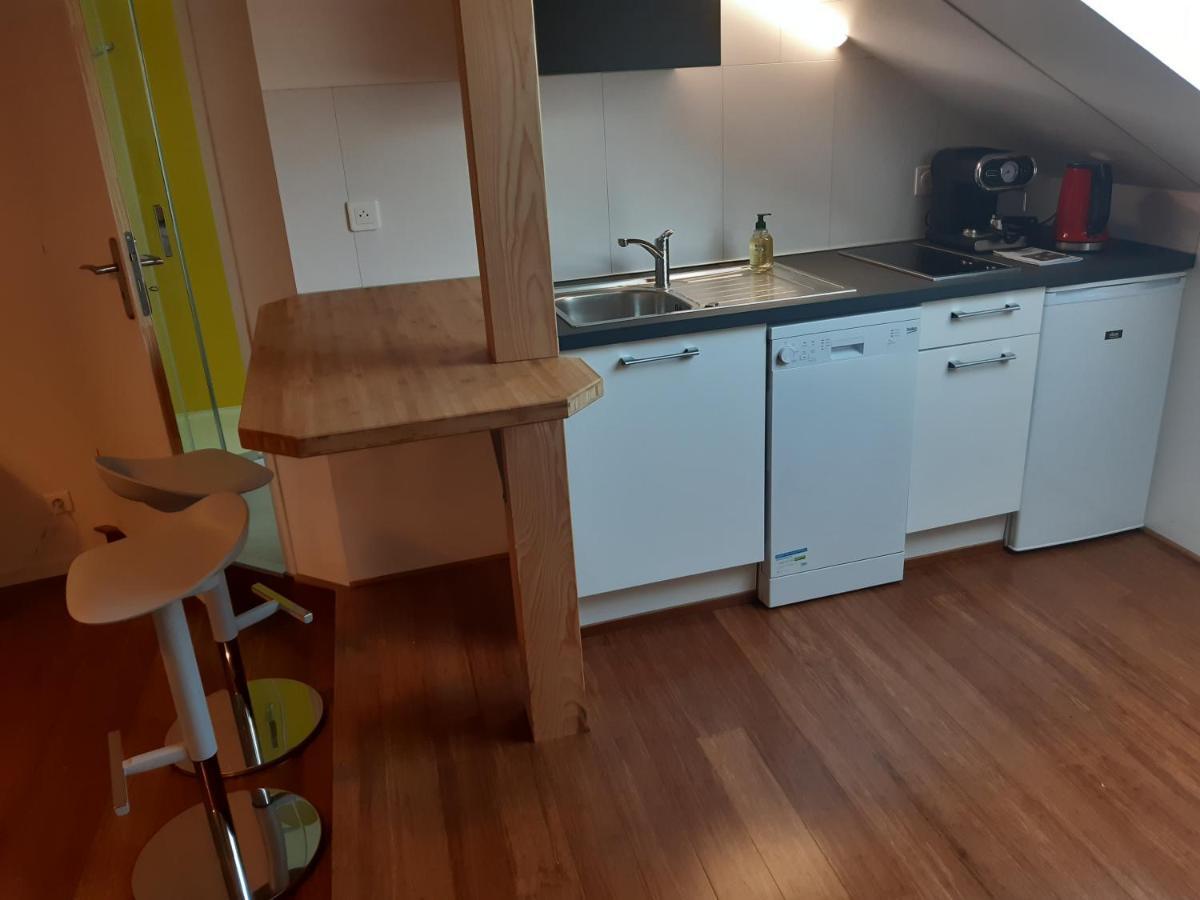 loft studio avec charme et authenticité Altkirch Esterno foto